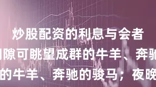 炒股配资的利息与会者在会议间隙可眺望成群的牛羊、奔驰的骏马；夜晚