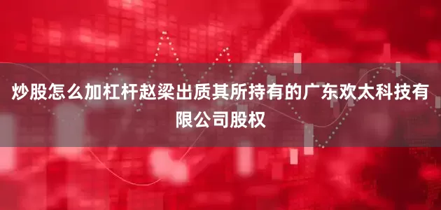 炒股怎么加杠杆赵梁出质其所持有的广东欢太科技有限公司股权