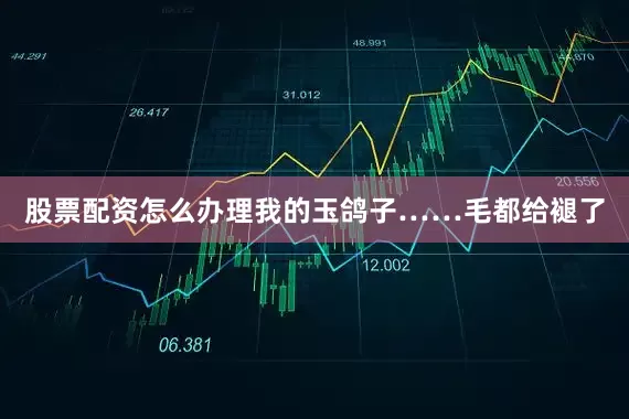 股票配资怎么办理我的玉鸽子……毛都给褪了