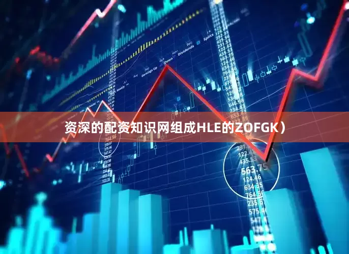 资深的配资知识网组成HLE的ZOFGK）