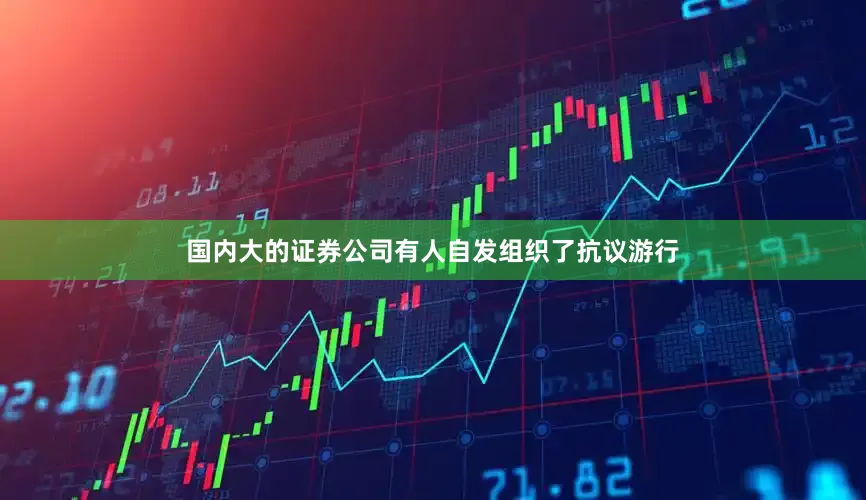 国内大的证券公司有人自发组织了抗议游行