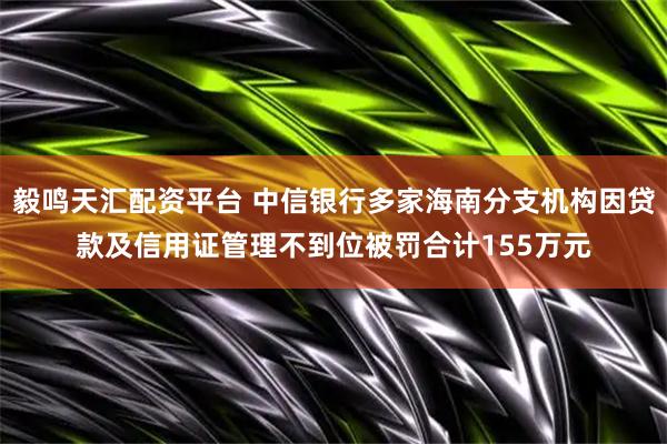 毅鸣天汇配资平台 中信银行多家海南分支机构因贷款及信用证管理不到位被罚合计155万元