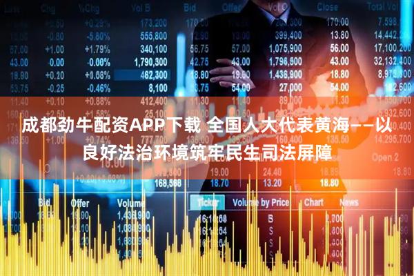 成都劲牛配资APP下载 全国人大代表黄海——以良好法治环境筑牢民生司法屏障