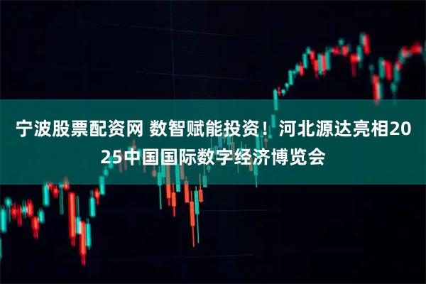 宁波股票配资网 数智赋能投资！河北源达亮相2025中国国际数字经济博览会