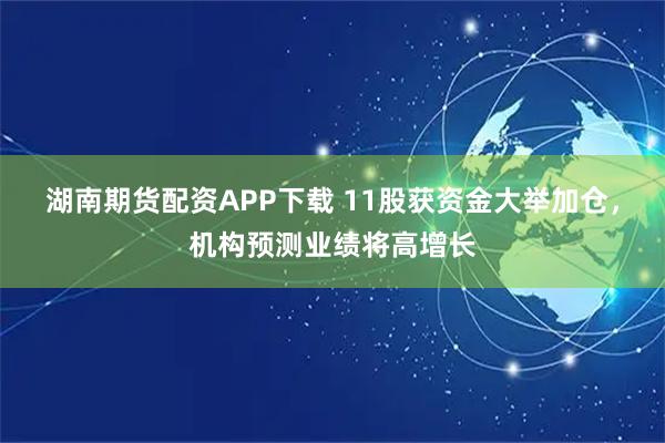 湖南期货配资APP下载 11股获资金大举加仓，机构预测业绩将高增长