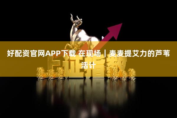 好配资官网APP下载 在现场｜麦麦提艾力的芦苇活计