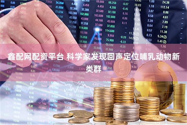 鑫配网配资平台 科学家发现回声定位哺乳动物新类群