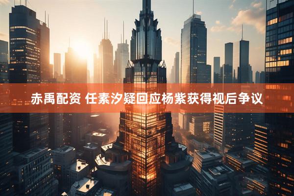 赤禹配资 任素汐疑回应杨紫获得视后争议